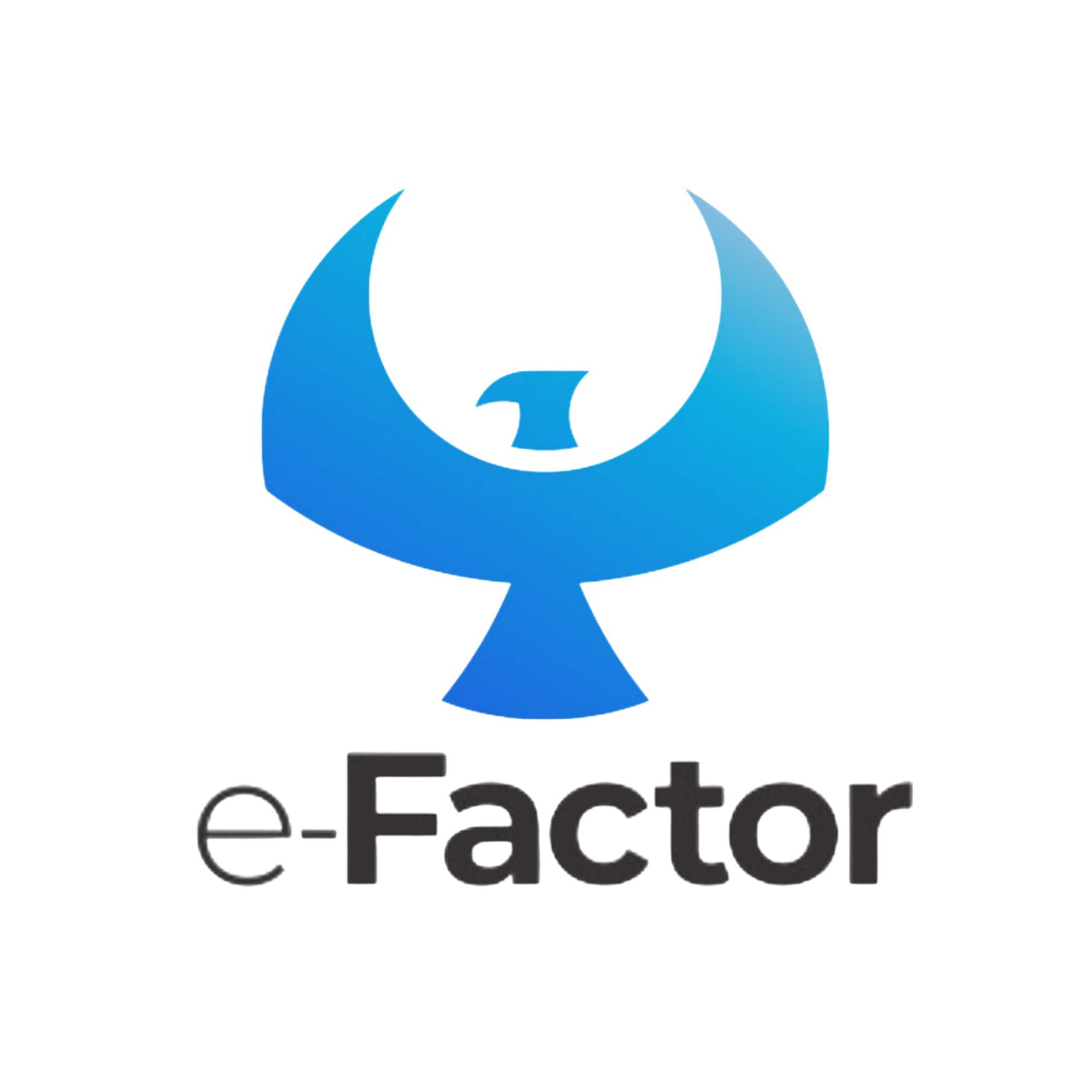 e-factor.com.br